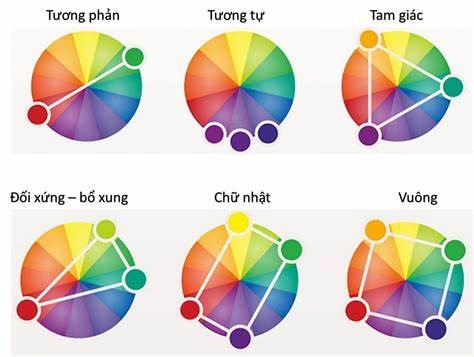 Kết Hợp Màu Sắc Quần Áo